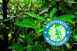 Biodiversity in Environmental Impact Assessment - (BEIA) (Edition 12)