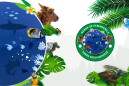 Norma de Desempeño Ambiental y Social 6. Conservación de la biodiversidad (ed. 13)