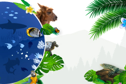 Environmental and Social Performance Standard 6. Biodiversity conservation (ed. 5)