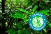 Biodiversidad en estudios de impacto ambiental (ed. 28)