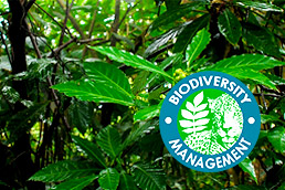 Biodiversity in Environmental Impact Assessment (ed. 14)