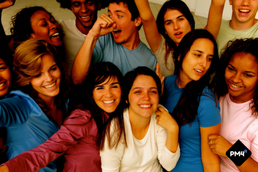 PM4R Professional (2026.30)